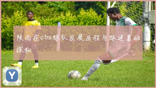 陕西在cba球队发展历程与球迷基础探秘