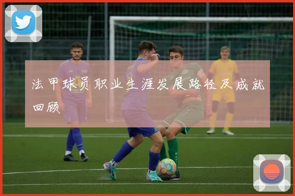 法甲球员职业生涯发展路径及成就回顾