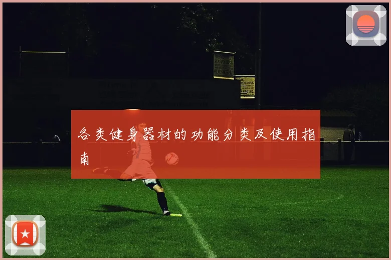 各类健身器材的功能分类及使用指南